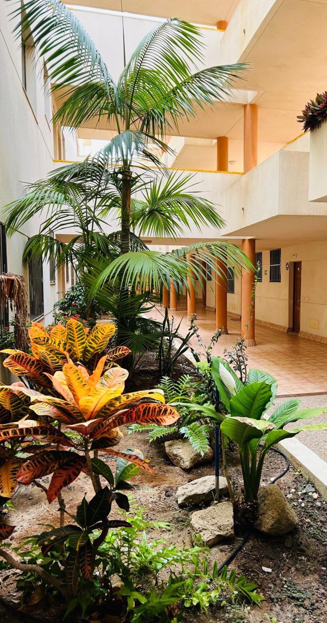 El Medano La Ola. Cabezo Beach 2 Rooms Parking Place Ngoại thất bức ảnh